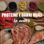Proteine e danni renali: la verità.